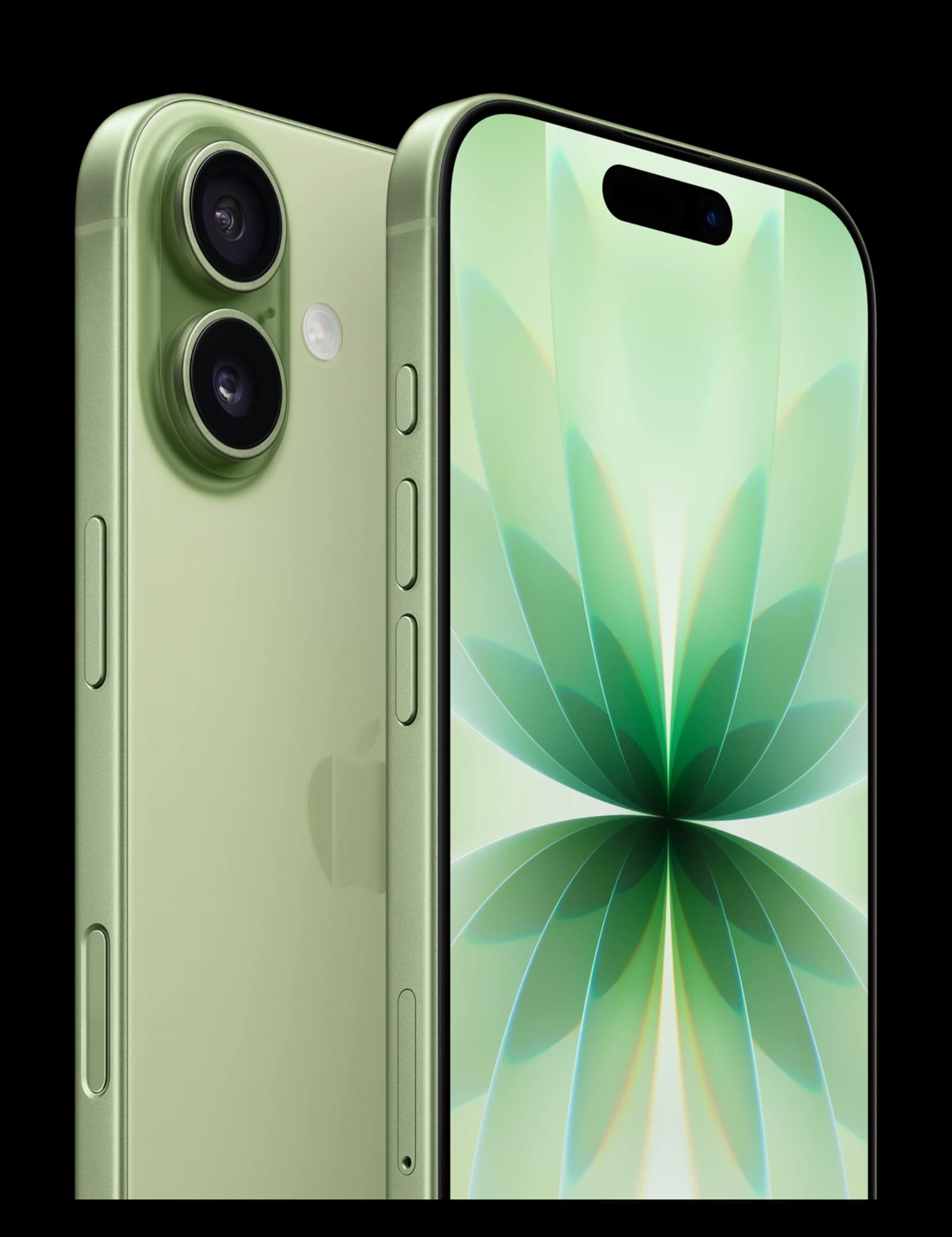 iPhone 17 256GB — Sauge