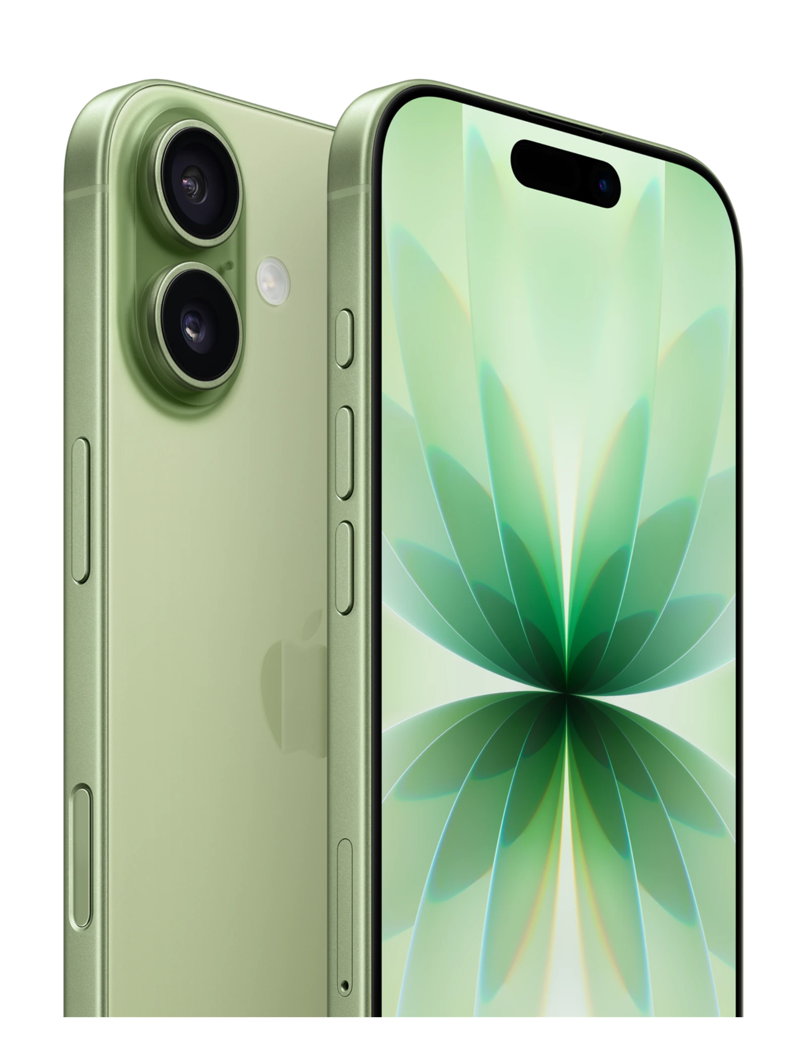 iPhone 17 256GB — Sauge